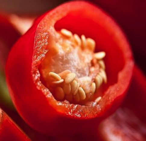 Pimiento rojo Aporta antioxidantes esenciales. Consume medio pimiento rojo al día.