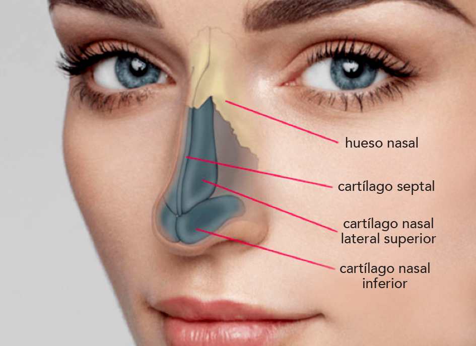 septorrinoplastia